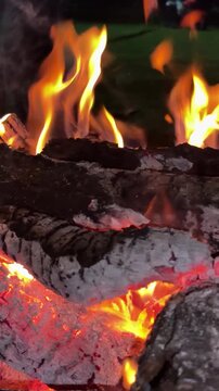 Flames and glowing embers of a campfire burning in the dark
