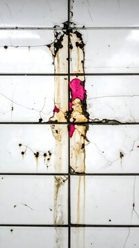 Cracked white subway tiles heavily stained with pink mold and grime texture.