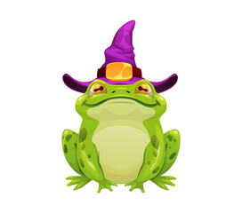 Fototapeta premium Halloween monster character of toad frog in witch hat, cartoon vector game Halloween witch animal green toad in wizard purple hat under magic spell for witchcraft mystery game asset personage