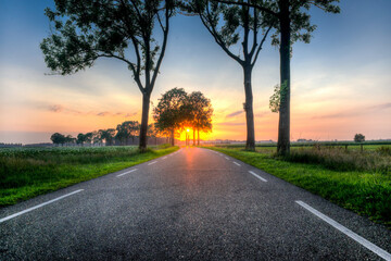 Fototapeta premium Empty Country Road at Sunrise Between Trees