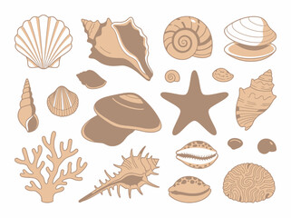 Fototapeta premium A collection of various hand-drawn sea shells and marine life elements.