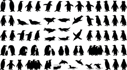 Penguin Silhouette Bundle Collection © Muhammad