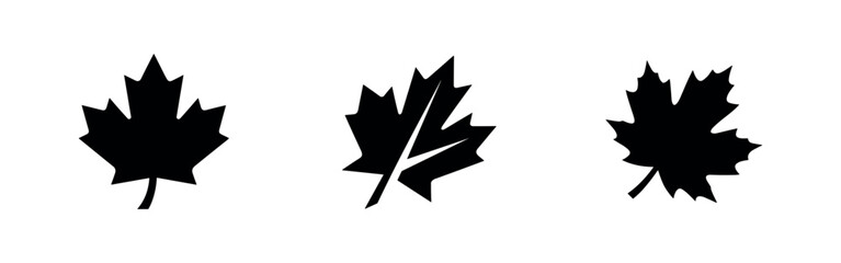 Fototapeta premium Various Maple Leaf Icons Set, Black and White Autumn Leaves