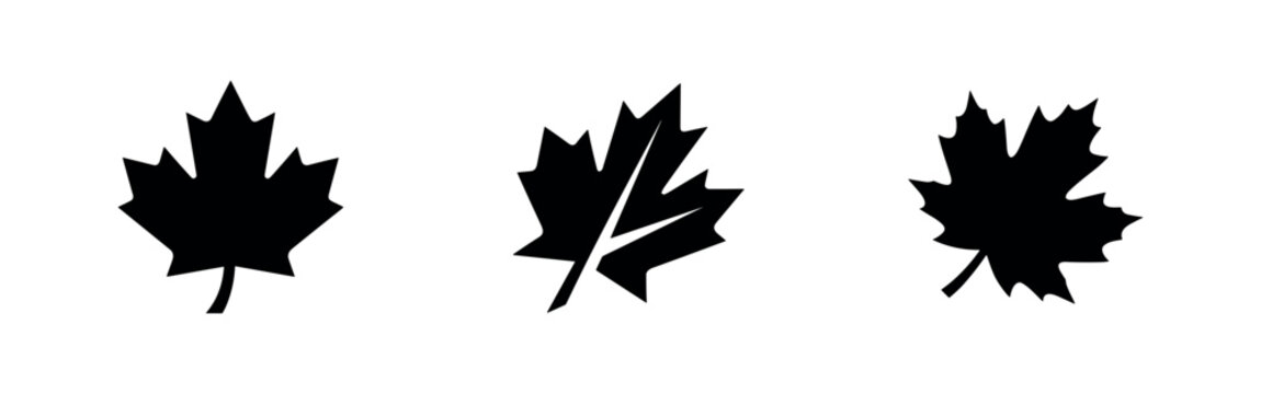 Various Maple Leaf Icons Set, Black and White Autumn Leaves