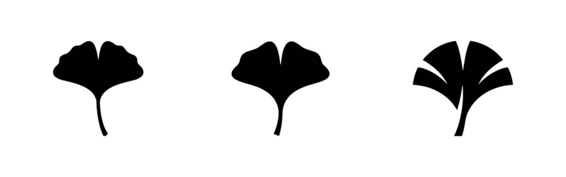 Ginkgo Biloba Leaf Icons Set, Black and White Fan-Shaped Leaves