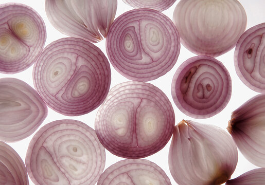 sliced onion on white background