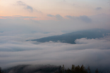 Fototapeta premium On a mountaintop, in the forest, in the morning with a sea of ​​fog.