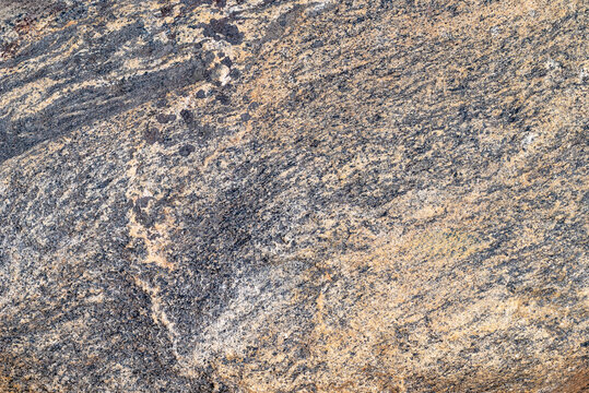 Stone texture. Abstract geological pattern on a weathered gneiss rock surface with black veins.