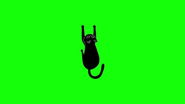 Black Cat Hanging Upside Down Against Bright Green Screen Background
