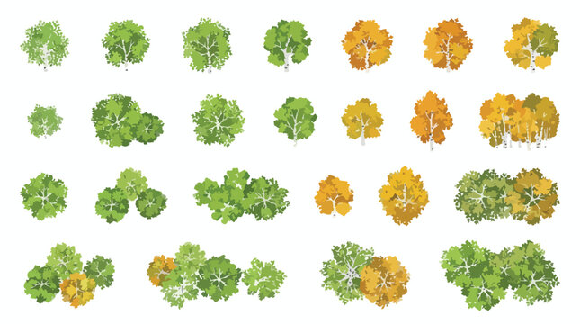 Top view tree symbols for landscape plan, 21 architectural site map icons in green and orange, flat vector vegetation for garden design and masterplan