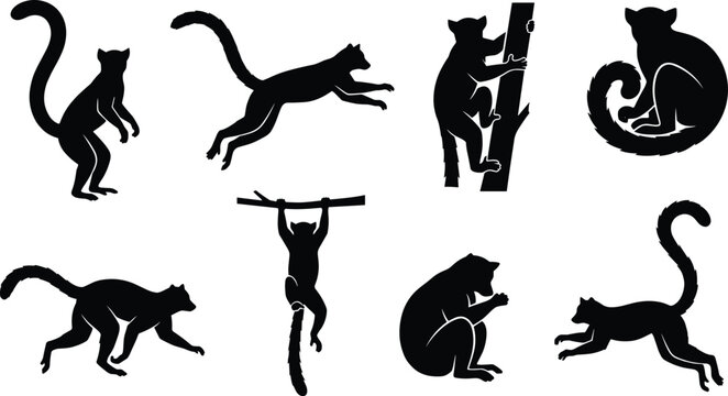Lemur Silhouette Collection Depicting Distinctive Poses and Movements for Wildlife and Nature Concepts