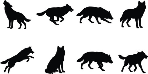 Obraz premium Wolf Silhouette Collection with Howling Running Hunting Jumping and Standing Wildlife Poses