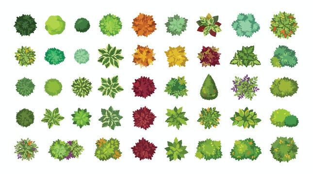 Top view tree symbols for landscape design, set of 45 architectural plan vegetation icons, green and autumn foliage garden map elements