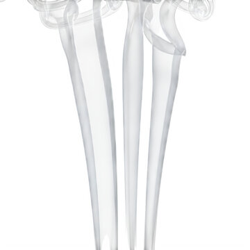 Human humerus and radius ulna bones anatomical illustration isolated on transparent background