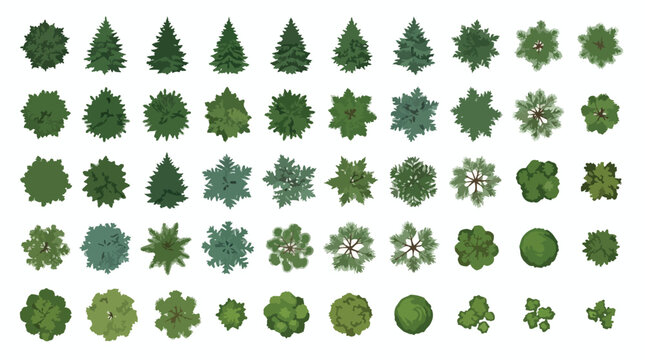 Top view tree symbols for landscape design, set of 50 green plant icons for architectural site plans, flat vector vegetation for garden mapping
