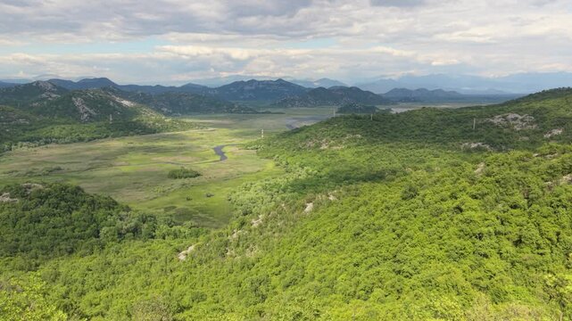 Drone reveals Lake Skadar and Rijeka Crnojevića from behind green bushes.