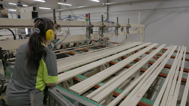 Factory worker wearing hearing protection monitors an automated production line processing wooden planks in a modern lumber manufacturing facility