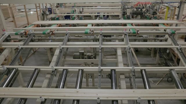 Fresh wooden boards travel across metal rollers and chain conveyors inside a lumber processing facility