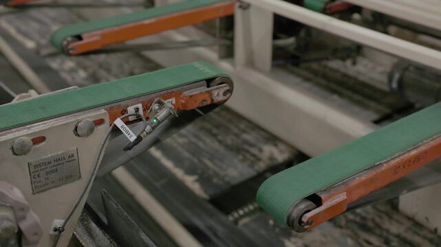 Fresh wooden boards travel across metal rollers and chain conveyors inside a lumber processing facility
