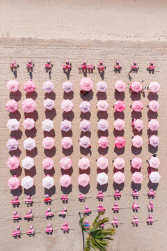 Aerial top view of pink beach umbrellas in a row, Recife, Pernambuco, Brazil