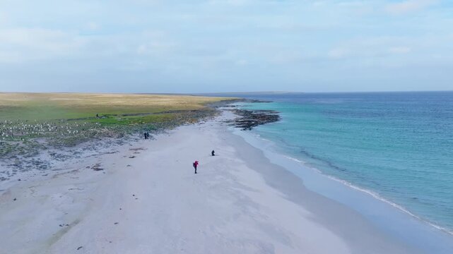 Aerial Drone Footage of Photographers Walking Along Remote Beach in Falkland Islands