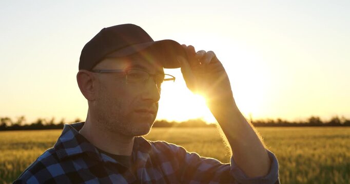 Experienced farmer adjusts cap while standing in wheat field at sunset. Golden hour scene represents confidence, agricultural expertise and dedication to successful crop production.