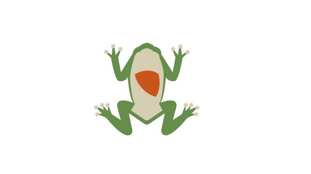 Flat vector animation of frog body reflex reaction showing vital organ highlight
