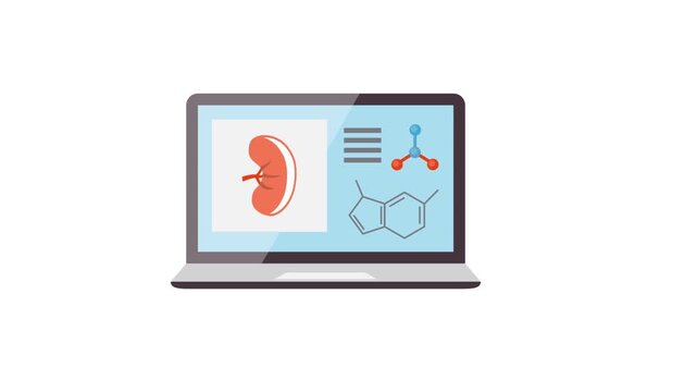 Laptop screen medical diagnostics vector animation displaying human kidney and molecular structure analysis