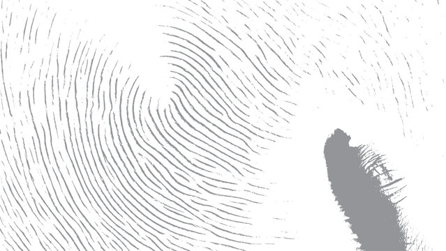 Grunge fingerprint texture with distressed ink brush overlay Abstract fingerprint background with vintage grunge texture