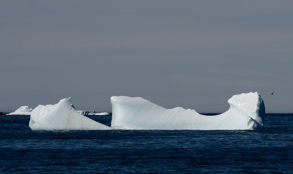Large arctic iceberg floating in the deep blue sea in Newfoundland