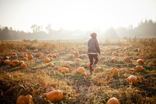 Woman walks through a golden hour pumpkin patch
