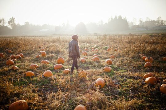 Woman walks through a misty pumpkin patch