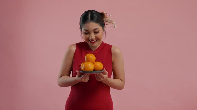 Attractive young Asian woman in a traditional cheongsam dress posing while holding mandarin oranges on isolated pink background.