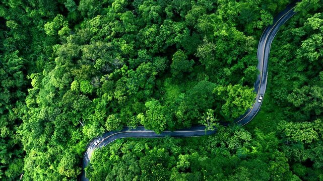 Aerial Forest Road Through Tropical Landscape for ESG Sustainability and Net Zero Strategy