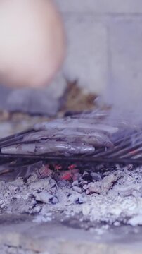 Chef placing fishes on barbecue grill net close up