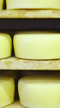 Ascending over shelves of cheese wheels in factory