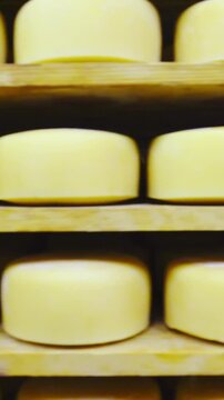 Dolly slide over the industry cheesemaker shelves with cheese