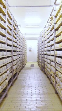 Walk through factory cheese aging storage with endless shelves of cheese