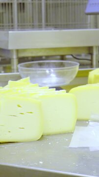 Weighting cut pieces of cheese at factory