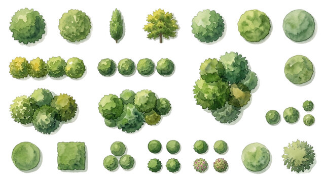 Hand Drawn Watercolor Urban Forest Canopy and Shrub Symbols for Landscape Plans