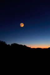 Fototapeta premium Full Moon on a twilight sky with countryside silhouettes.