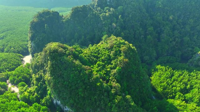 Aerial drone view captures green mangrove wetlands and a calm river beneath limestone peaks, conveying nature conservation, coastal ecology, adventure tourism, and serenity. Thailand. 4k.
