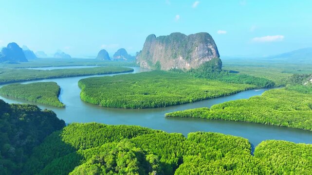 Aerial drone view shows a lush mangrove river surrounded by limestone cliffs, symbolizing tropical wilderness, ecosystem protection, sustainable travel, and scenic nature. Thailand. 4k.
