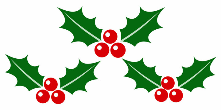 Holly Sprigs With Berries Flat Vector Illustration On White Background
