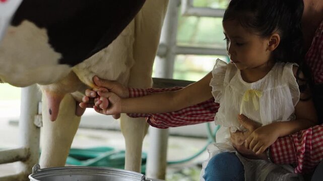 slow motion of preschool child learning to milking a dairy cows by hand with farmer