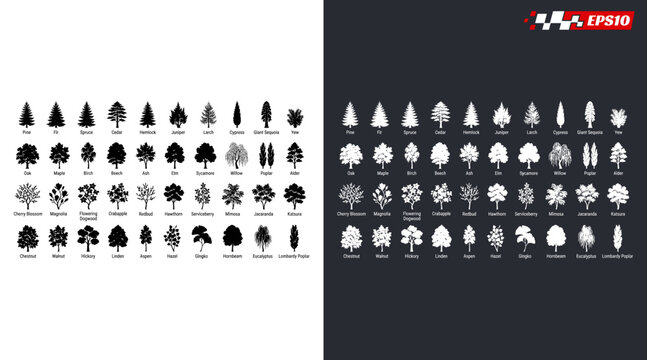 Diverse Collection of Tree Silhouettes and Icons for Design Projects.