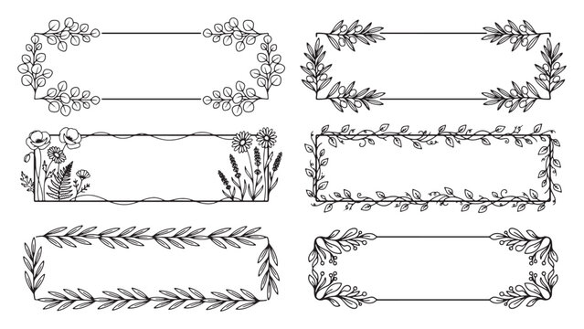 Botanical floral frame borders with leaves and branches vector