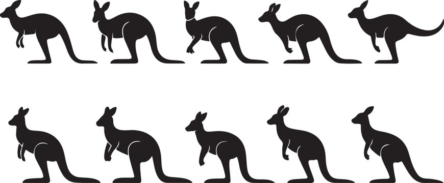 Kangaroo walking and hopping silhouette animation sequence
