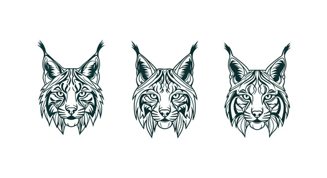 Three Intricate Lynx Head Illustrations in Black and White.