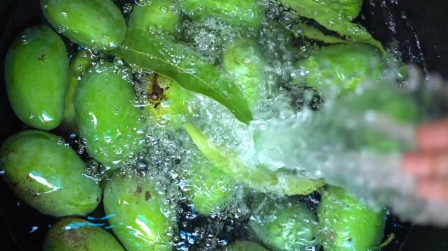 Water splashing over fresh green mangoes as they are rinsed